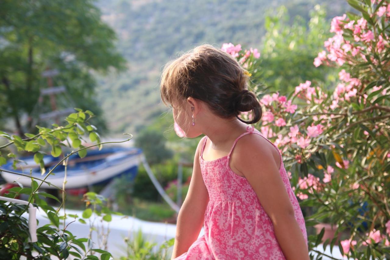 Das Maistrali 1 Sarti Bagian luar foto